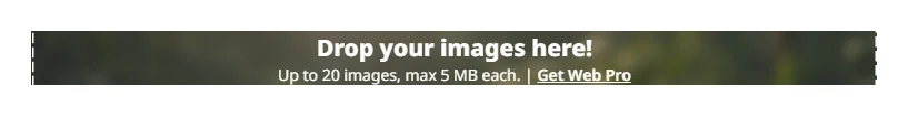 TinyPNG